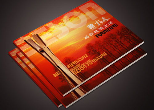 東莞網(wǎng)絡(luò)科技畫(huà)冊(cè)印刷 技術(shù)開(kāi)發(fā)與產(chǎn)品宣傳的專業(yè)載體